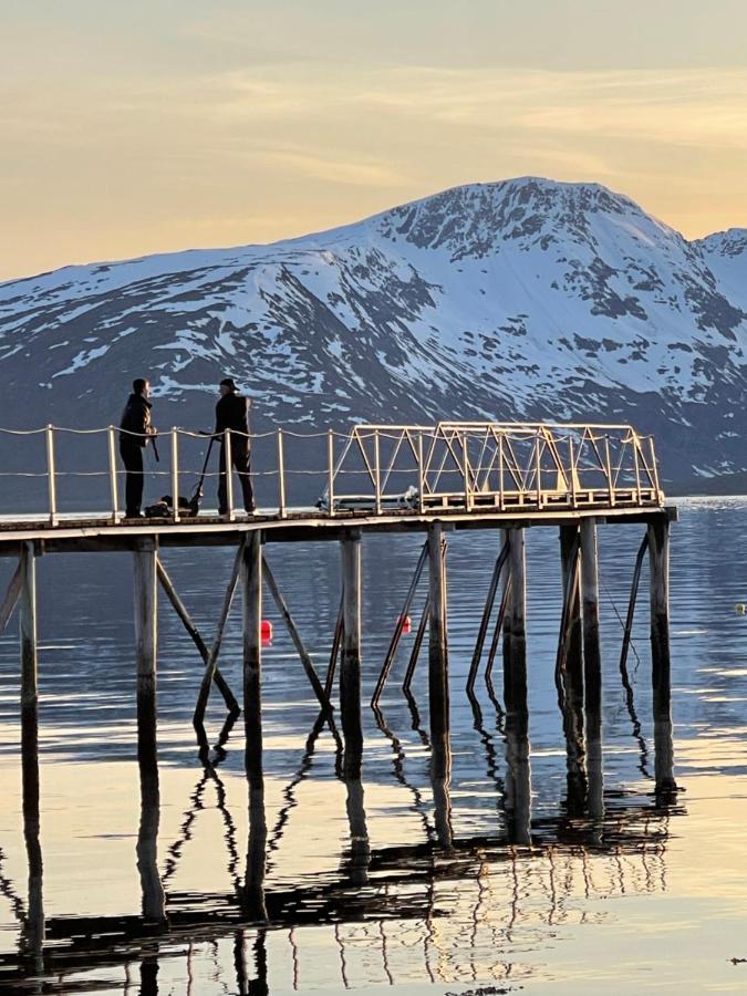 Skittenelv Lodge & Camping Tromsø Exteriör bild